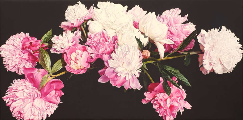 Canvas print of original acrylic painting by floral artist Sarah Caswell. Pink and white peonies in bright sunshine on dark brown background