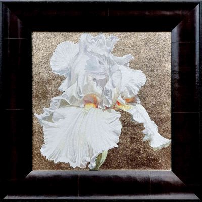White bearded iris in bright sunshine on 23.5ct gold leaf background. Original acrylic painting by UK Floral Artist Sarah Caswell on canvas.