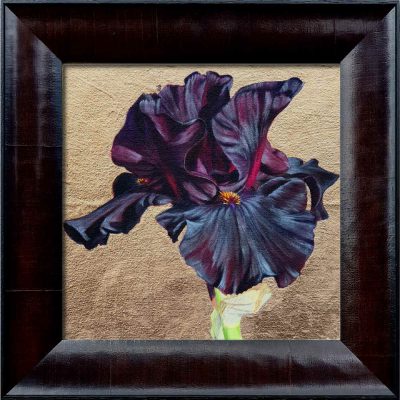 Wisdom, Hope and Valour XI, Black Iris on gold leaf background. Original acrylic painting by UK floral artist Sarah Caswell.