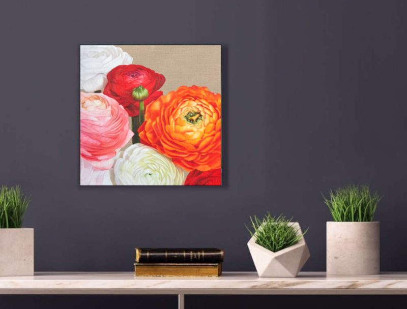 Multi-coloured Ranunculus (Persian Buttercups) in bright sunshine. Original acrylic painting on clear primed linen canvas. Displayed on a purple interior wall.