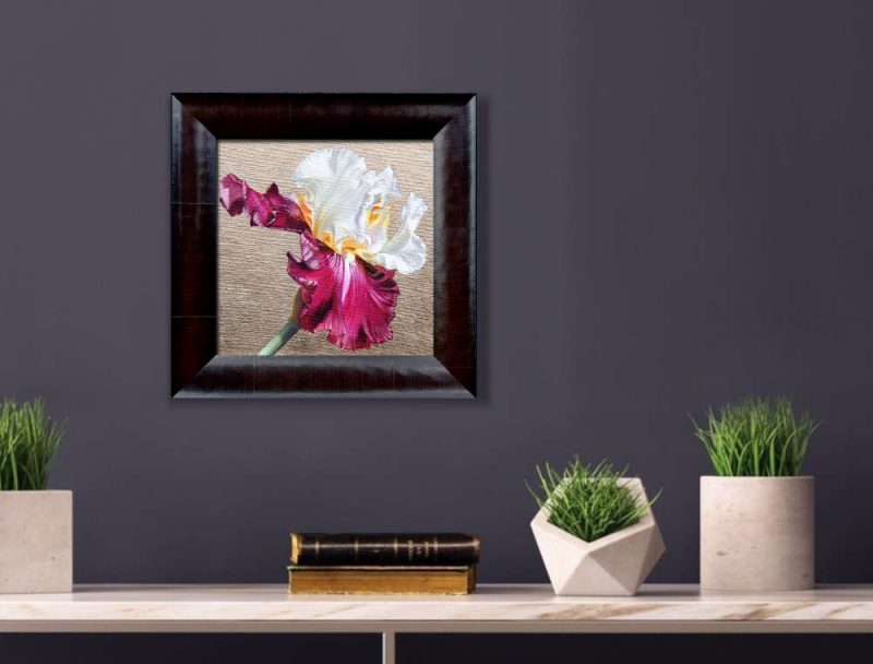 White and pink bi-coloured bearded iris in bright sunshine on 22.5ct moon gold leaf background. Original acrylic painting by UK Floral Artist Sarah Caswell on canvas. Displayed in a purple interior setting.