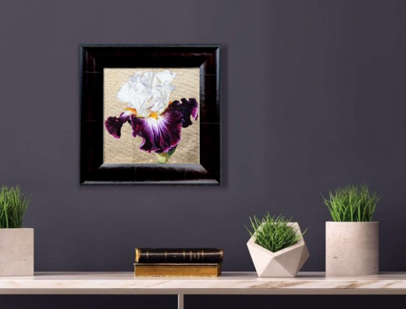 White and mauve bi-coloured bearded iris in bright sunshine on 22.5ct moon gold leaf background. Original acrylic painting by UK Floral Artist Sarah Caswell on canvas. Displayed on a purple interior wall.