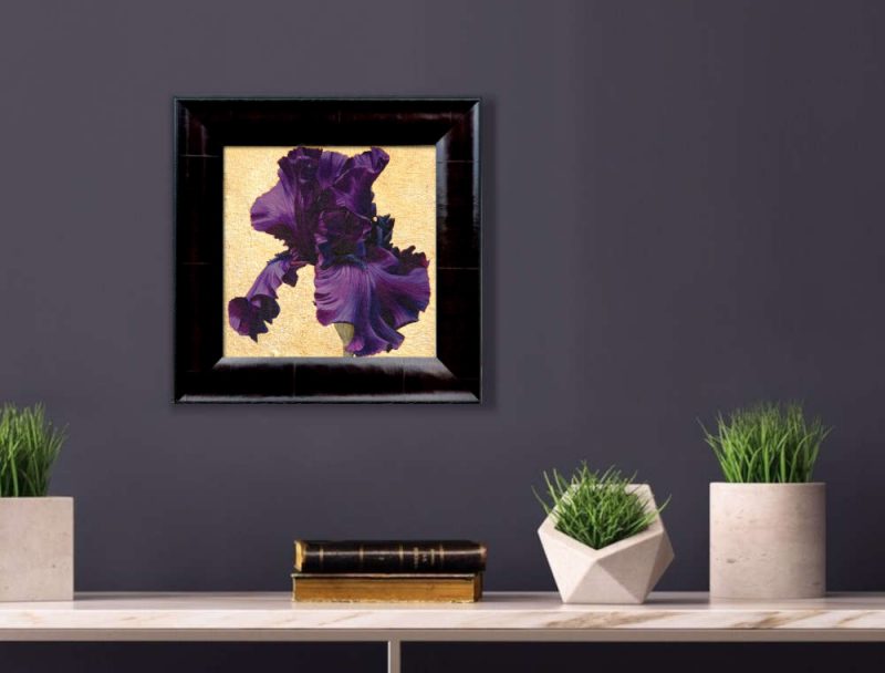 Deep purple bearded iris in bright sunshine on 22.5ct moon gold leaf background. Original acrylic painting by UK Floral Artist Sarah Caswell on canvas. Displayed on a purple interior wall.