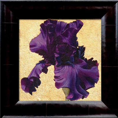Deep purple bearded iris in bright sunshine on 22.5ct moon gold leaf background. Original acrylic painting by UK Floral Artist Sarah Caswell on canvas.