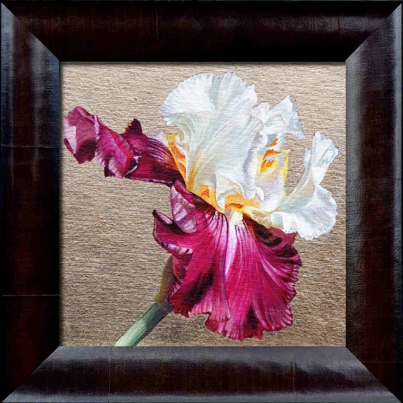 White and pink bi-coloured bearded iris in bright sunshine on 22.5ct moon gold leaf background. Original acrylic painting by UK Floral Artist Sarah Caswell on canvas.
