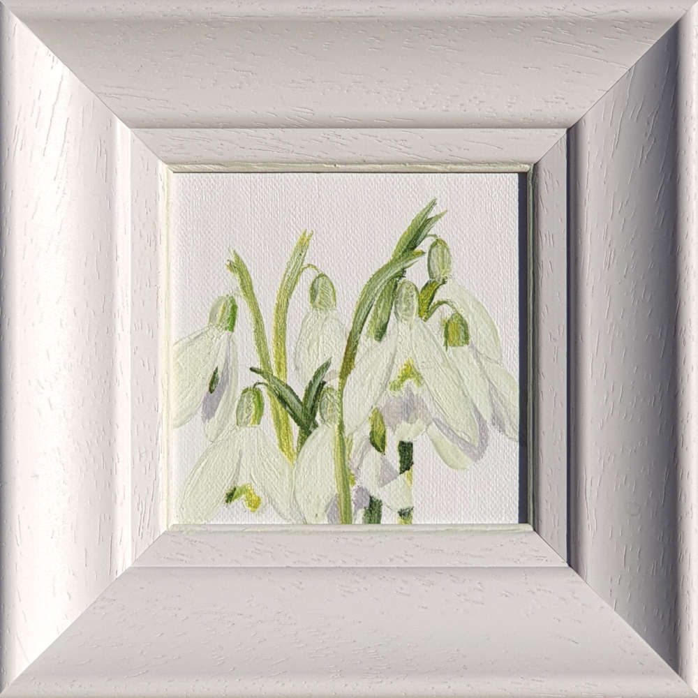 Artist Support pledge #10. Snowdrops on white background. Original acrylic sketch by UK Floral Artist Sarah Caswell on canvas board. Framed in white.