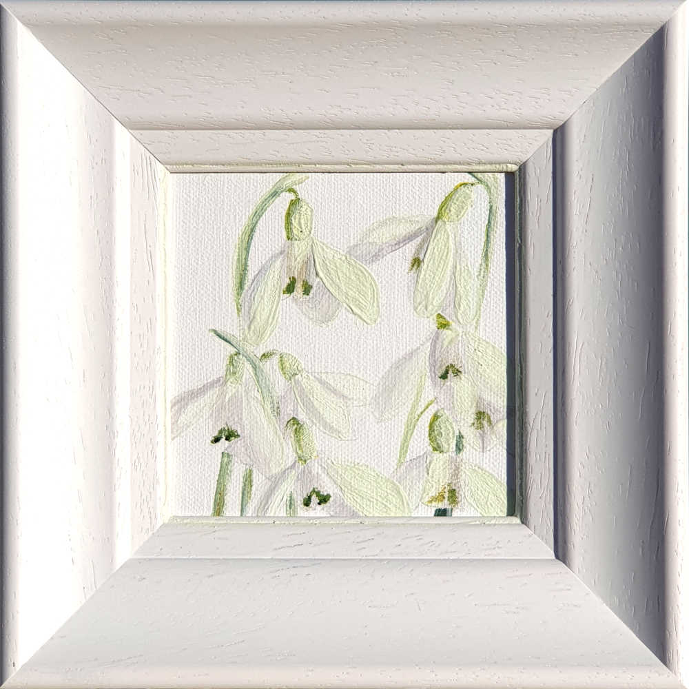 Artist Support pledge #12. Snowdrops on white background. Original acrylic sketch by UK Floral Artist Sarah Caswell on canvas board. Framed in white.
