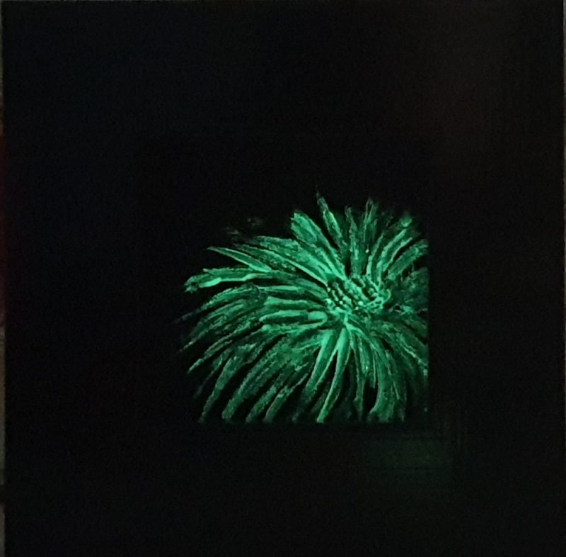 Artist Support pledge #7. Shasta daisy in glow in the dark paint. Original acrylic sketch by UK Floral Artist Sarah Caswell on canvas board.