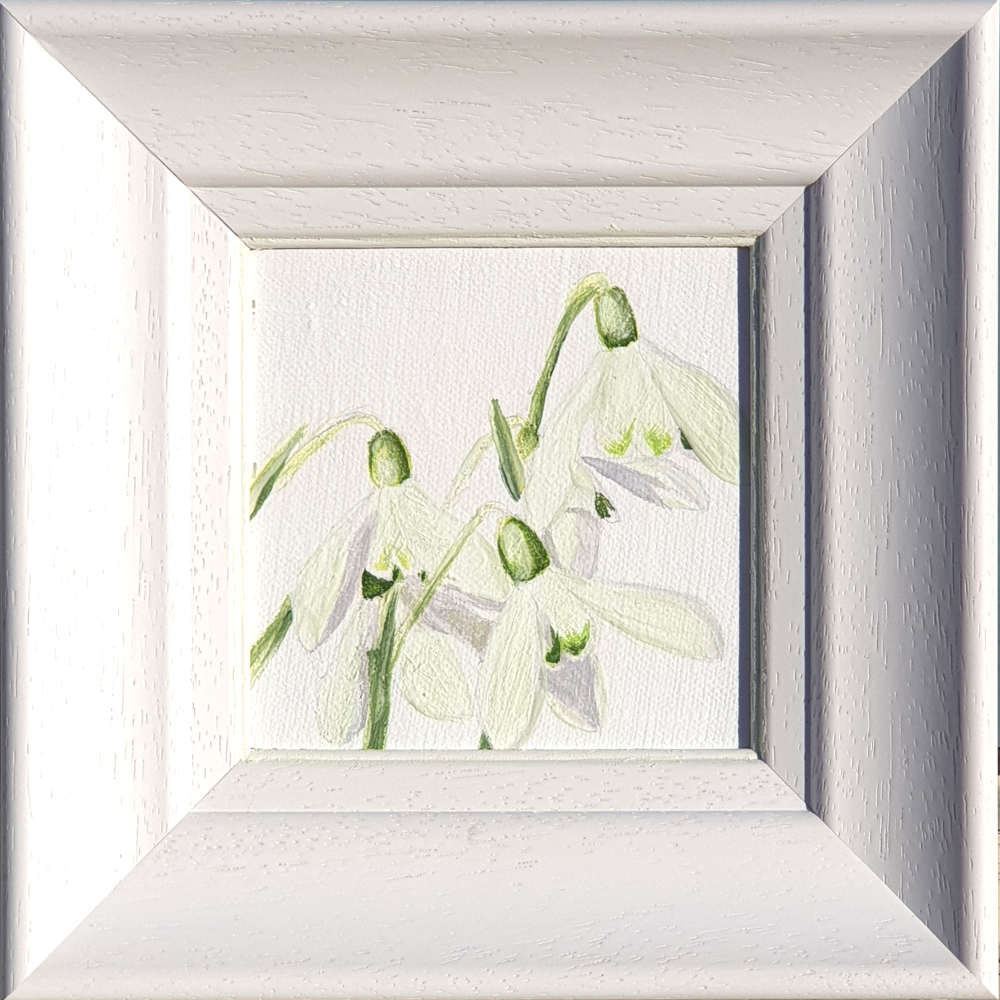 Artist Support pledge #9. Snowdrops on white background. Original acrylic sketch by UK Floral Artist Sarah Caswell on canvas board. Framed in white.