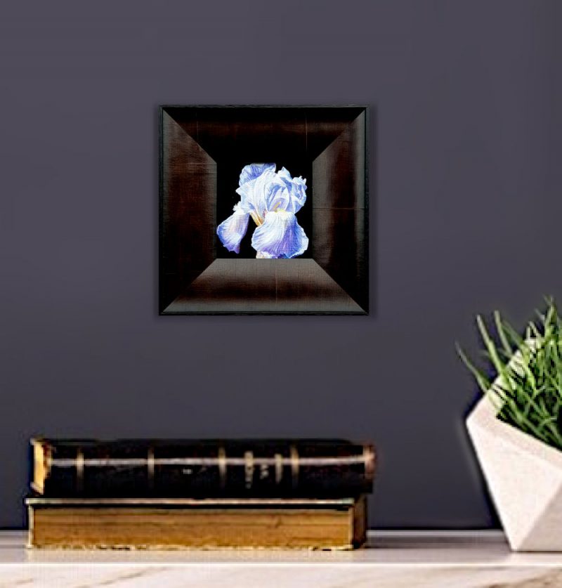 Artist Support pledge #15. Blue Iris on deep black background, part of the ‘Midnight Elegance’ series. Original acrylic sketch by UK Floral Artist Sarah Caswell on canvas board. Framed in black. Displayed on a purple internal wall.