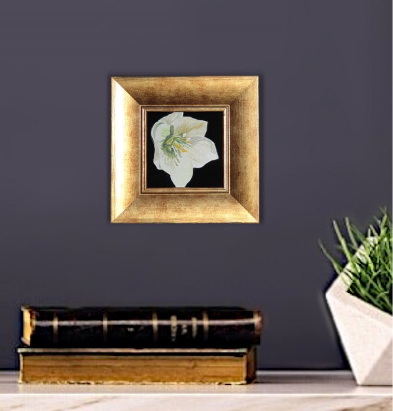 Artist Support pledge #6. White hellebore on deep black background. Original acrylic sketch by UK Floral Artist Sarah Caswell on canvas board. Shown on a purple interior wall.