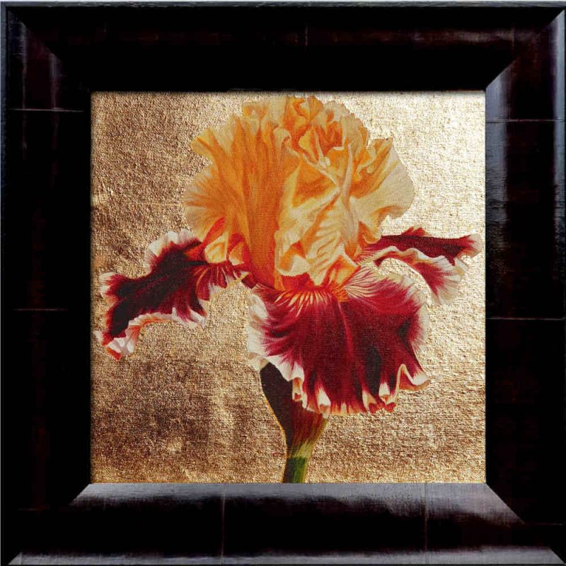 Gold and toffee bi-coloured bearded iris in bright sunshine on 23ct red gold leaf background. Original acrylic painting by UK Floral Artist Sarah Caswell on canvas.