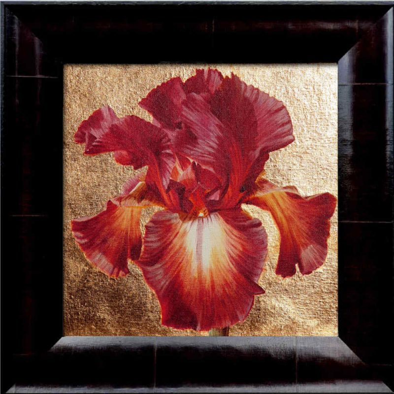 Gold and toffee bi-coloured bearded iris in bright sunshine on 23ct red gold leaf background. Original acrylic painting by UK Floral Artist Sarah Caswell on canvas.