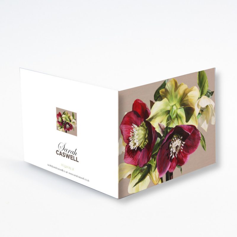 Greetings Card - Hellebore IX - Image 2