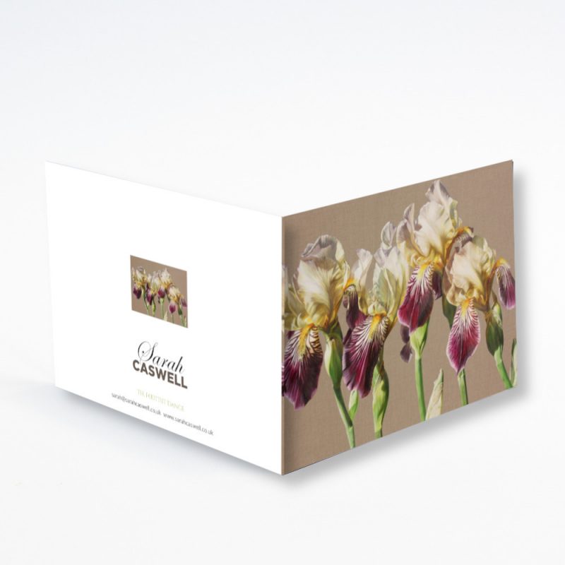 Greetings Card - The Foottitt Dance - Image 2