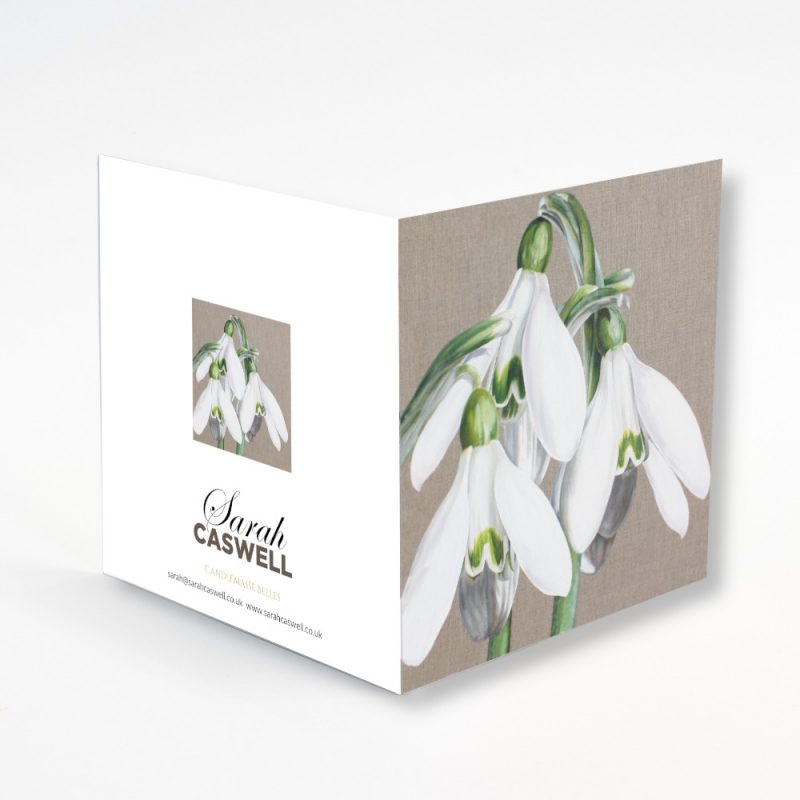 Greetings Card  - Candlemasse Belles - Image 2
