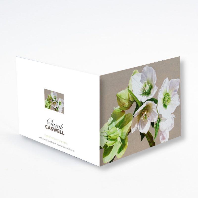 Greetings Card - Gazing Into the Sunshine - Image 2