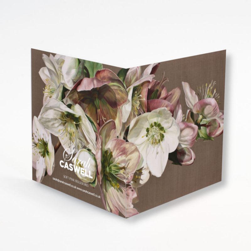 Greetings Card  - Soft Pink Hellebore - Image 2