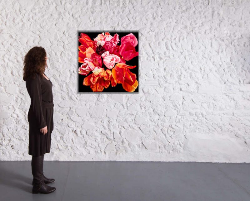 Tulip Rhapsody - Image 3