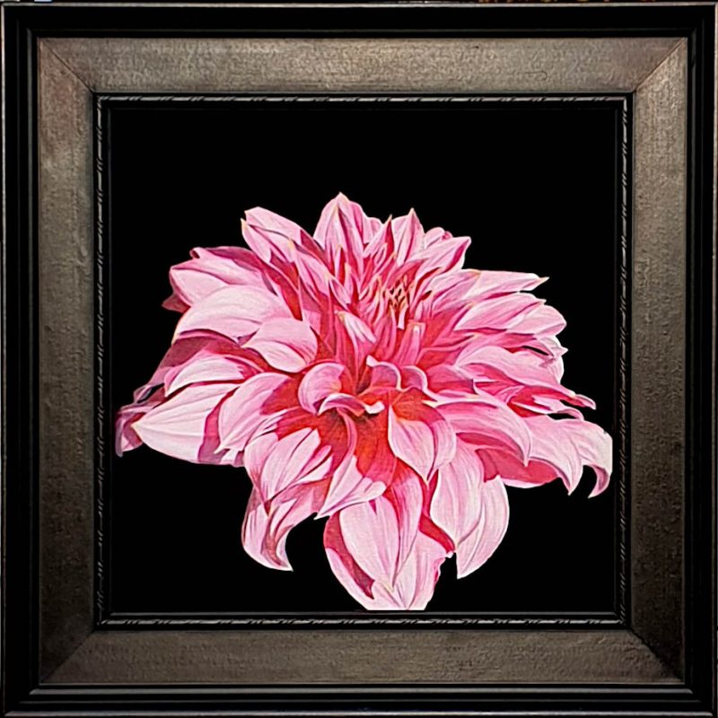 Midnight Elegance VII
