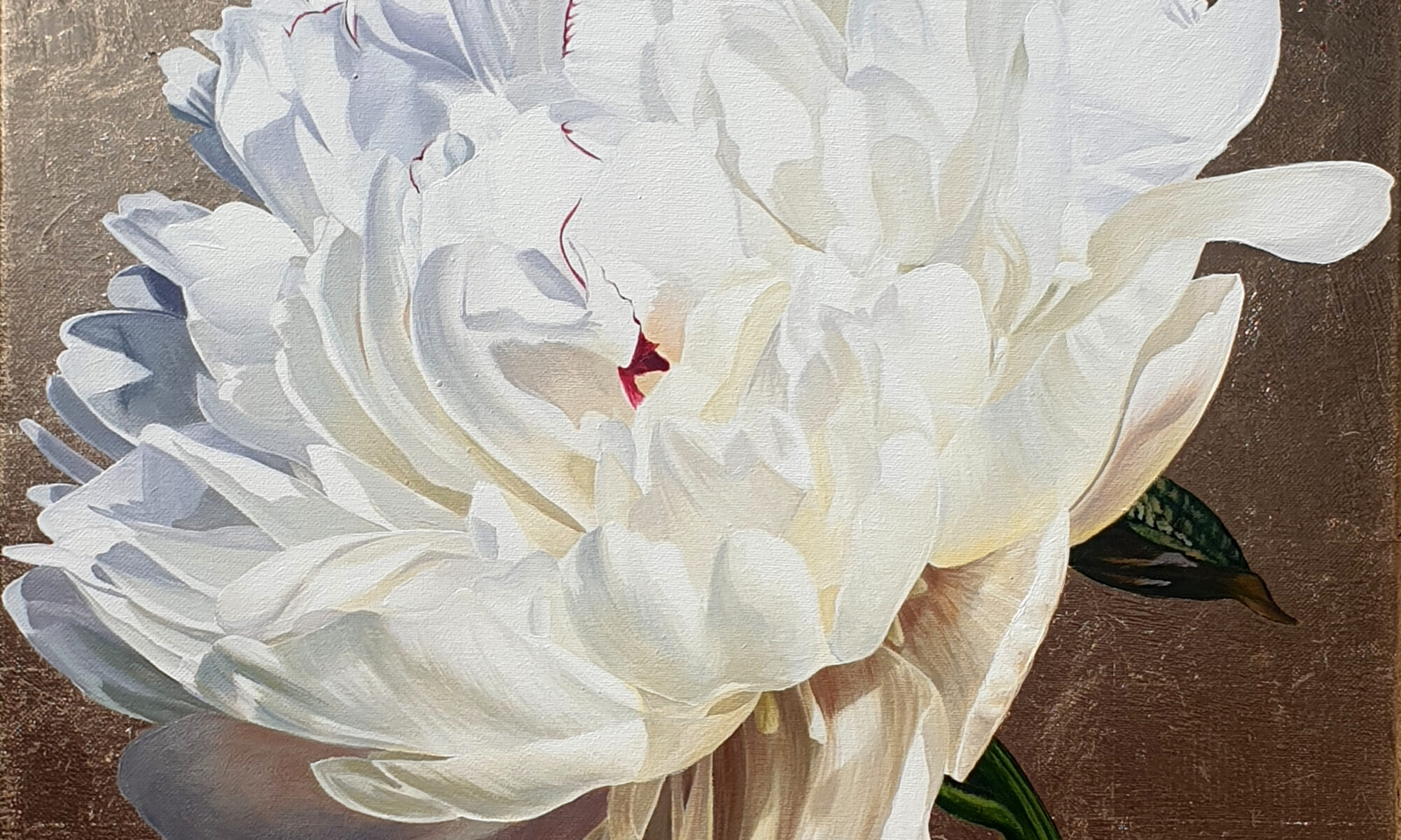 Original paintings of a white peony with magenta tinges on a gold leaf background