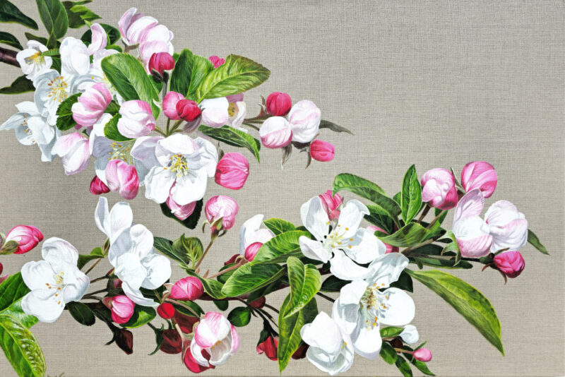Canvas Print - Apple Blossom