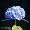 Greetings Card - Blue Hydrangea