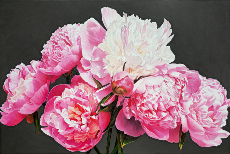 Pink Peonies