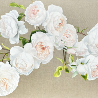 Mounted Print - Romantic Roses