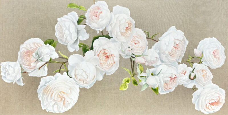 Mounted Print - Romantic Roses
