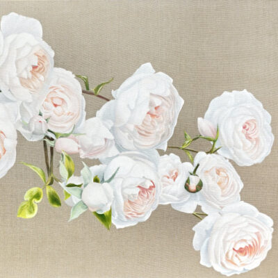 Greetings Card  - Romantic Roses