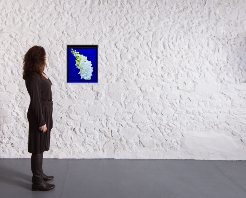 Blue i - Image 2