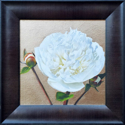 White peony in bright sunshine on 'moon' gold leaf background.
