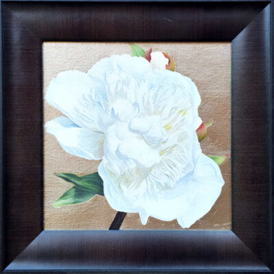 White peony in bright sunshine on 'moon' gold leaf background.
