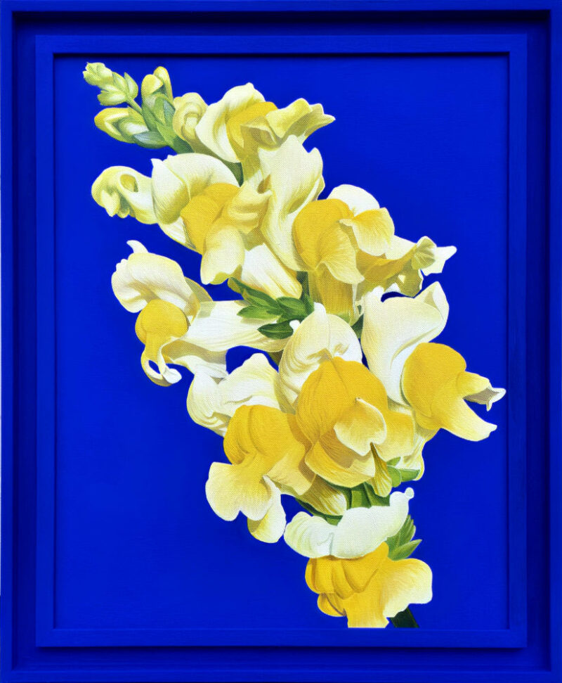 Blue vii