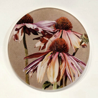 Coaster Glass - Candy Cones