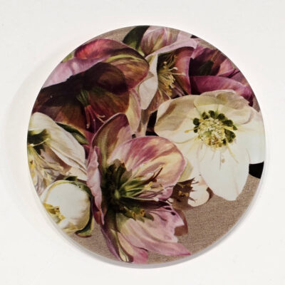 Coaster Glass - Soft Pink Hellebore
