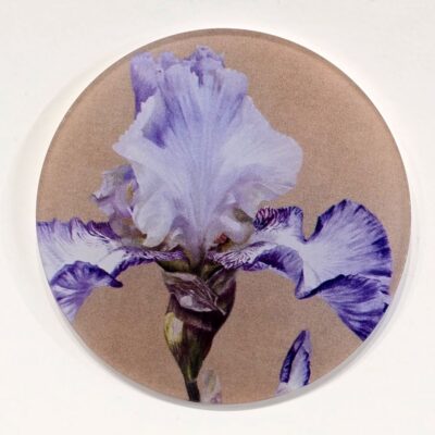 Coaster Glass - China White Dancer