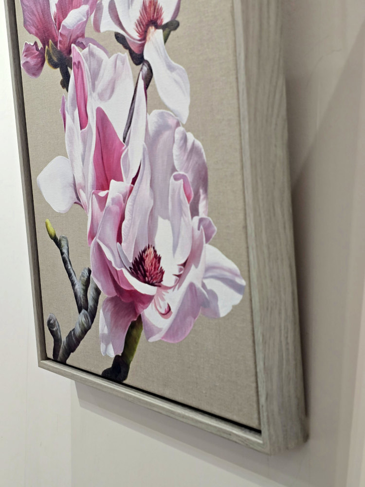 Cornish pink magnolia - Image 3